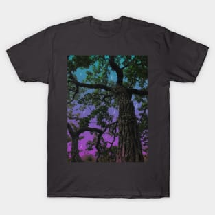 Moon Valley T-Shirt